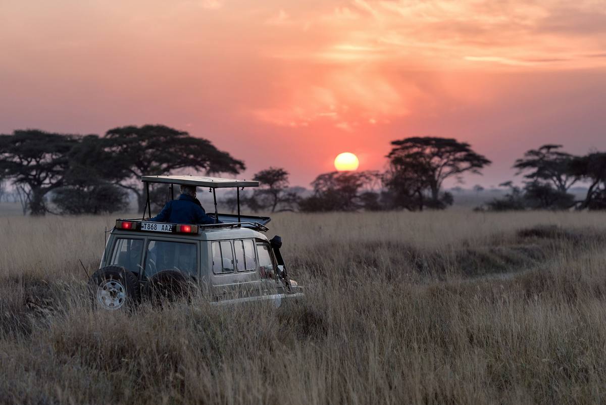 A safari vehicle on the savanna at sunset in Africa